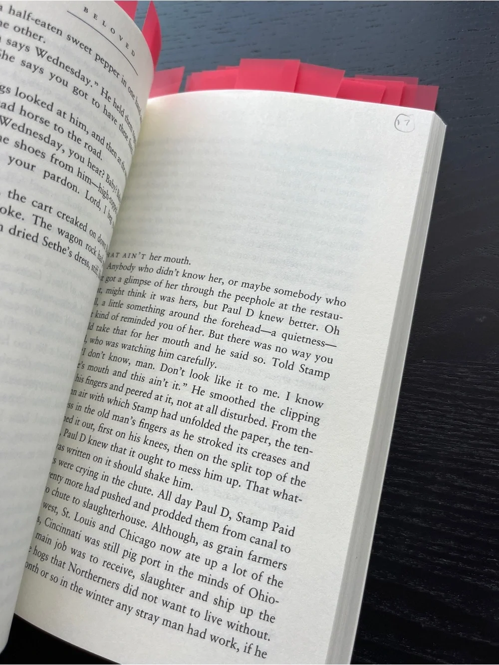Vintage International Beloved Toni Morrison Paperback Book Red 8